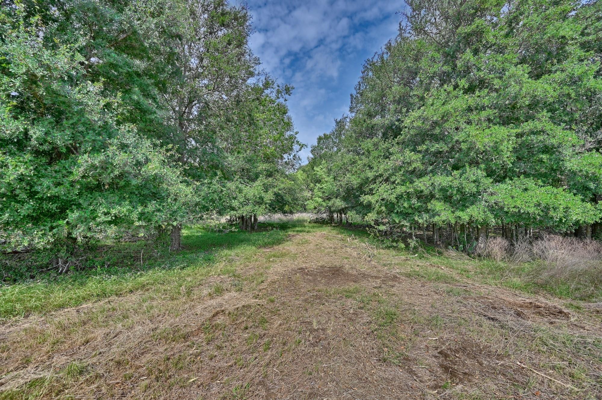 TBD (14.253 Acres) Lee County RD