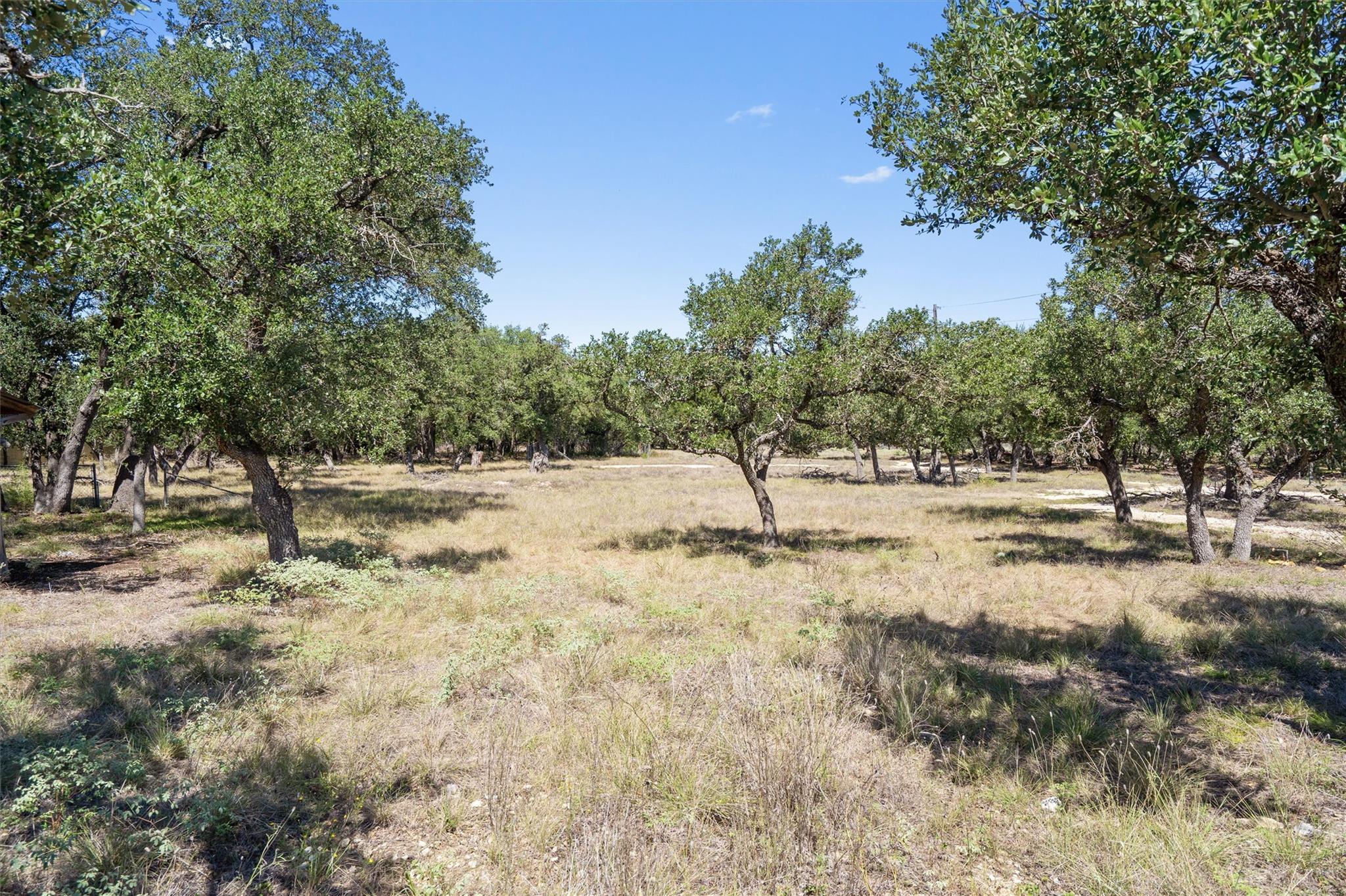 507 Lone Star DR
