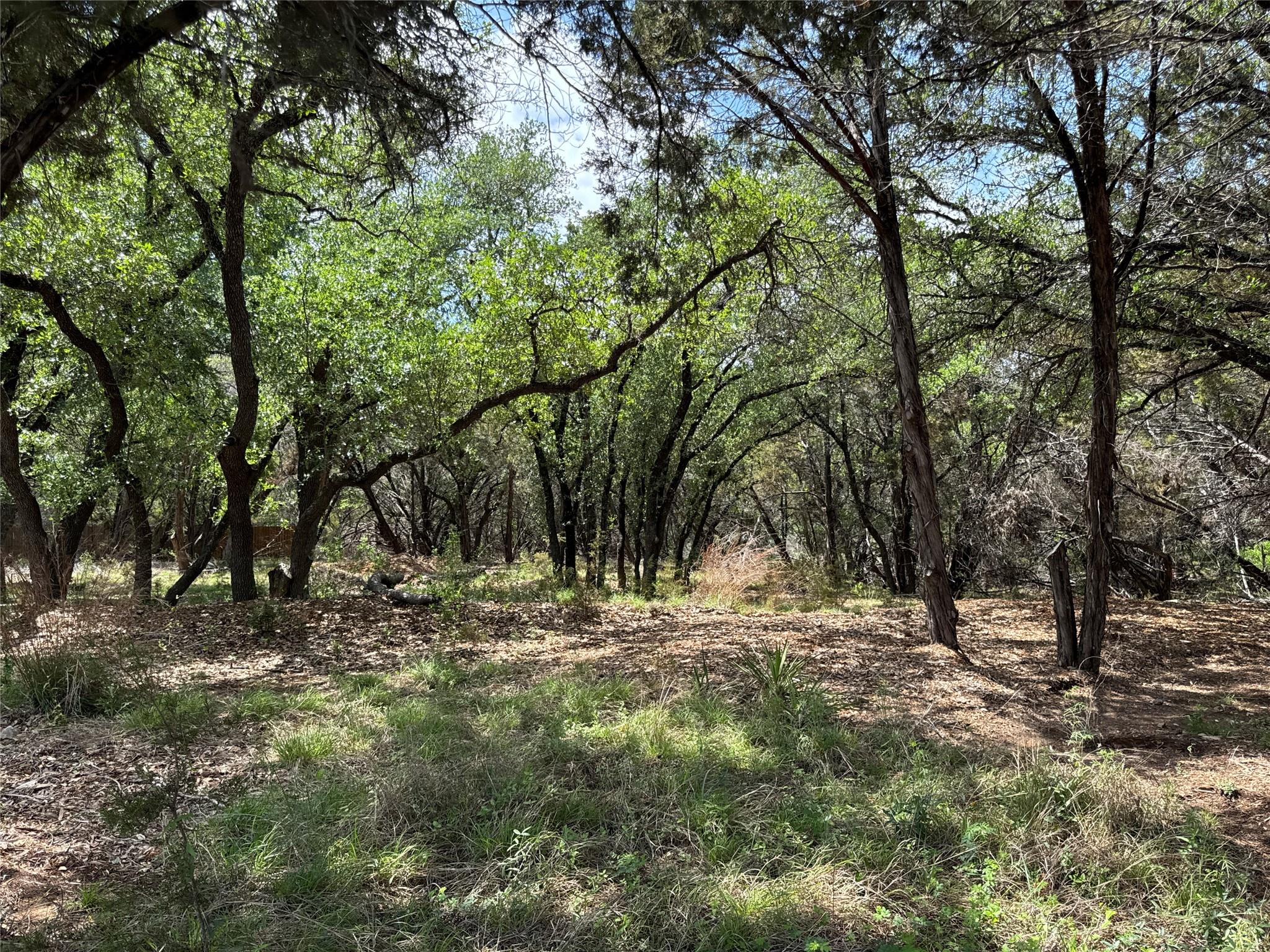 21501 Paseo De Vaca ST