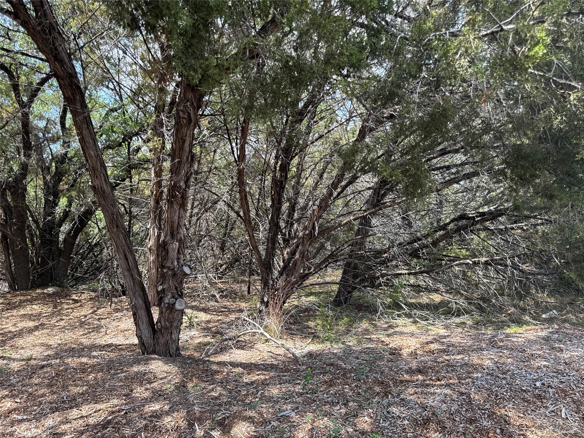 21501 Paseo De Vaca ST