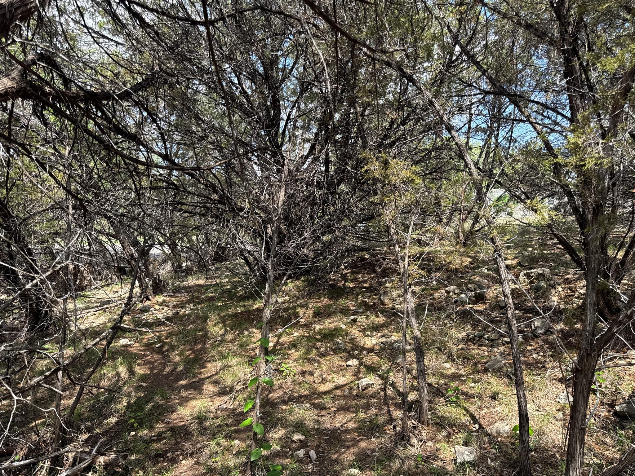 21501 Paseo De Vaca ST