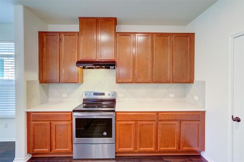 Tiny photo for 14116 Flawless Flora DR, Pflugerville, TX 78660 (MLS # 8317689)