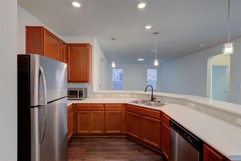 Tiny photo for 14116 Flawless Flora DR, Pflugerville, TX 78660 (MLS # 8317689)