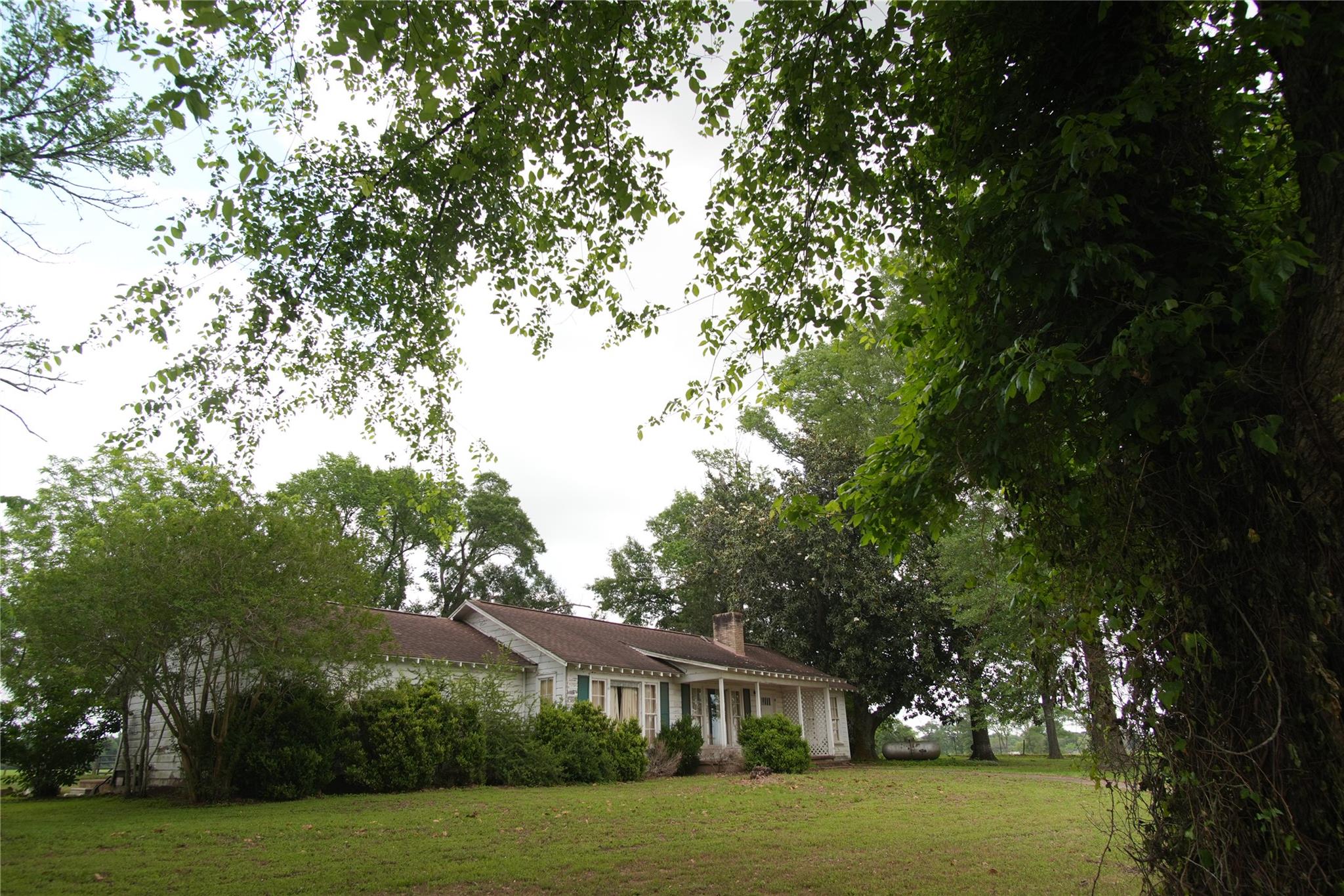17137 County Road 319