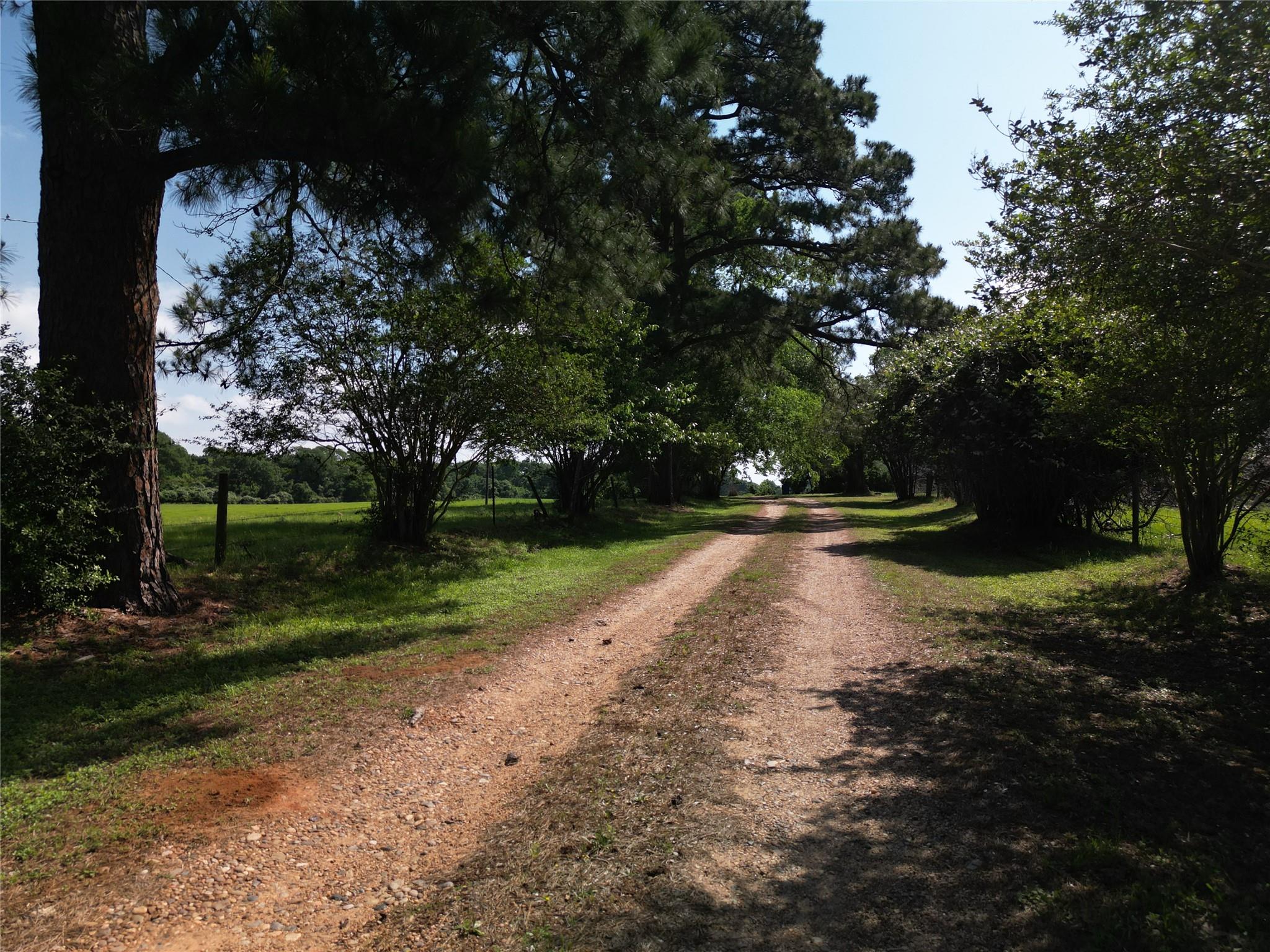 17137 County Road 319