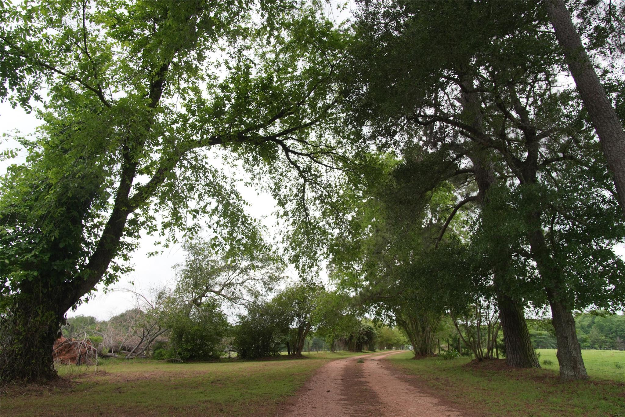 17137 County Road 319
