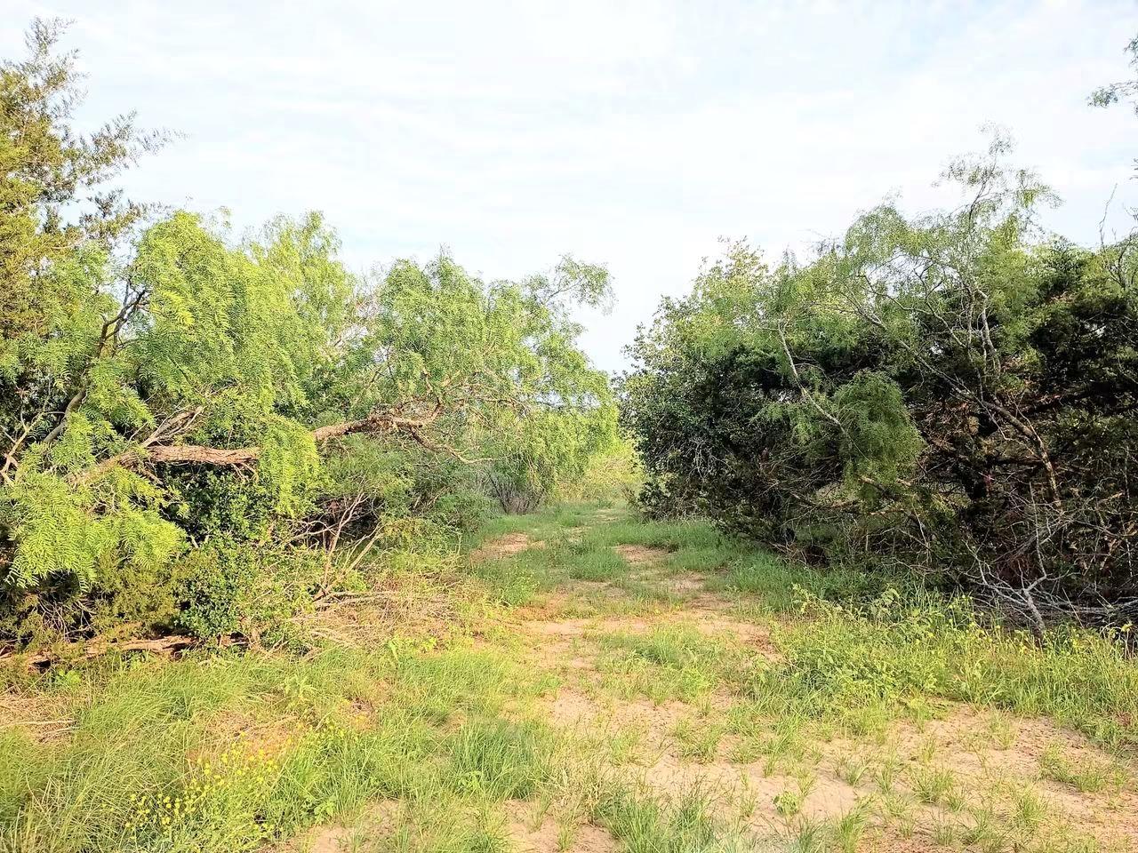 TBD Mesquite DR