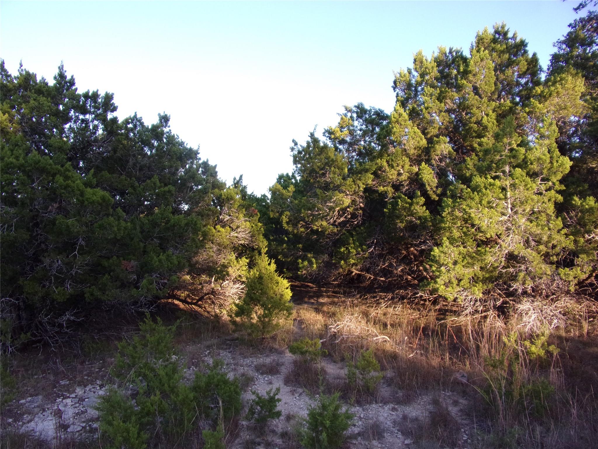 361/395 Mountain Wood DR