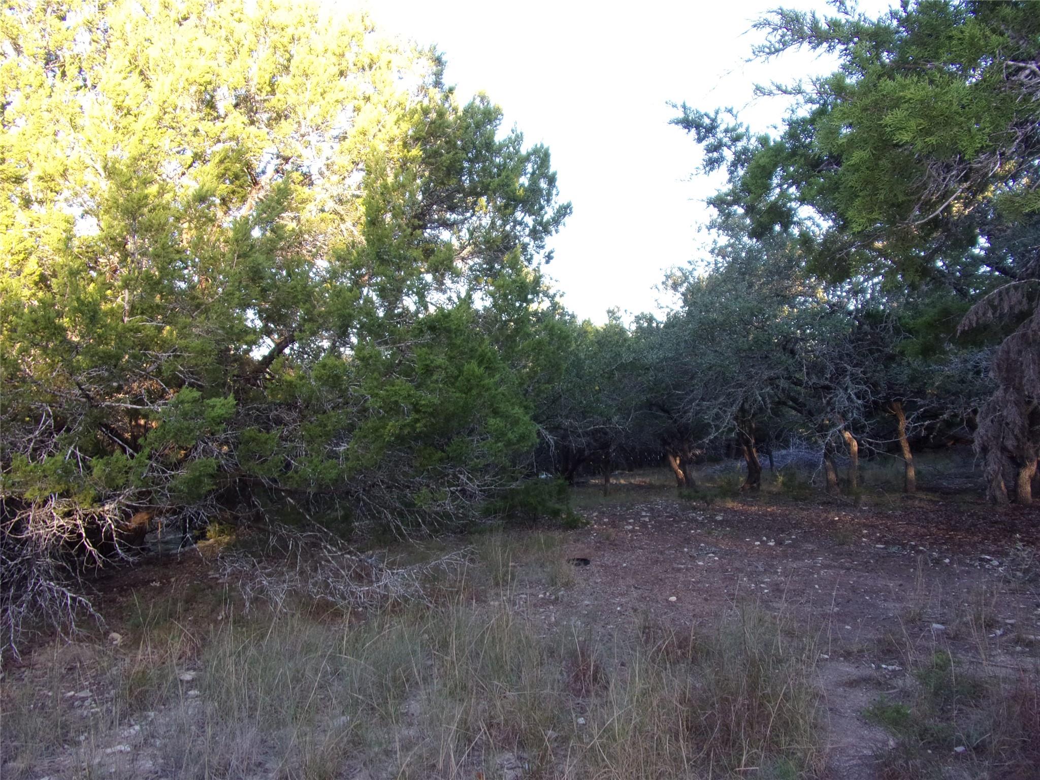 361/395 Mountain Wood DR