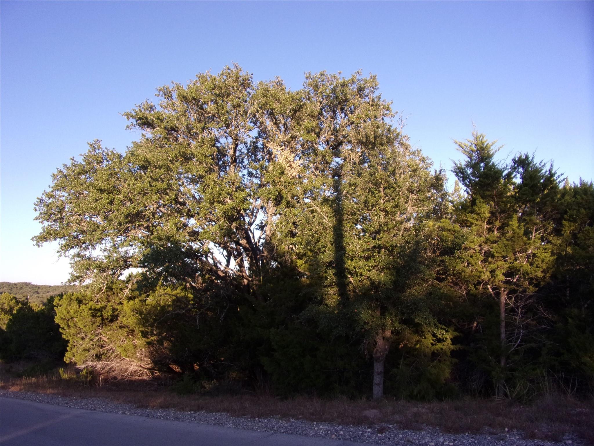 361/395 Mountain Wood DR