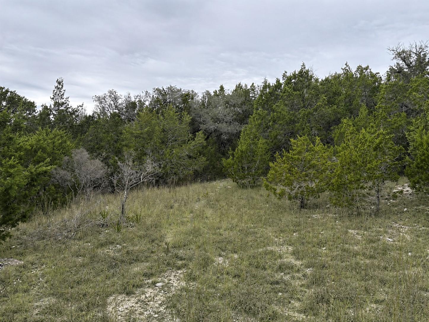 Lot 20E Overland Stage RD