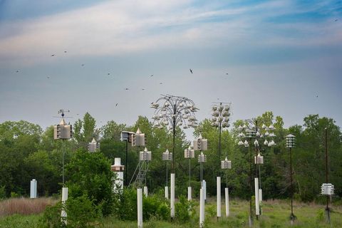 Photo of 13800 LONE RIDER TRL, Austin, TX 78738 (MLS # 9393410)