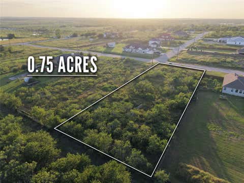 Photo of 232 E Ridge LN, Kyle, TX 78640 (MLS # 6865196)