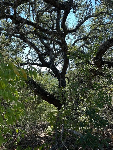 8503 Talon CIR Lago Vista TX 78645