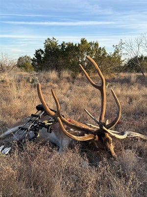 SUTTON AVE, SONORA, TX 76950 - Image f7b22b114bc1bcafaf8192518b565e0b/4016908341
