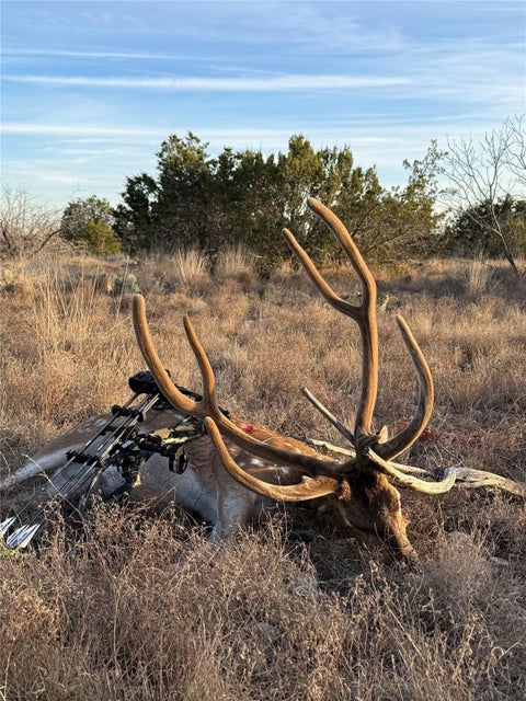 Photo of 0 Sutton County Rd 406 RD, Sonora, TX 76950 (MLS # 6398491)