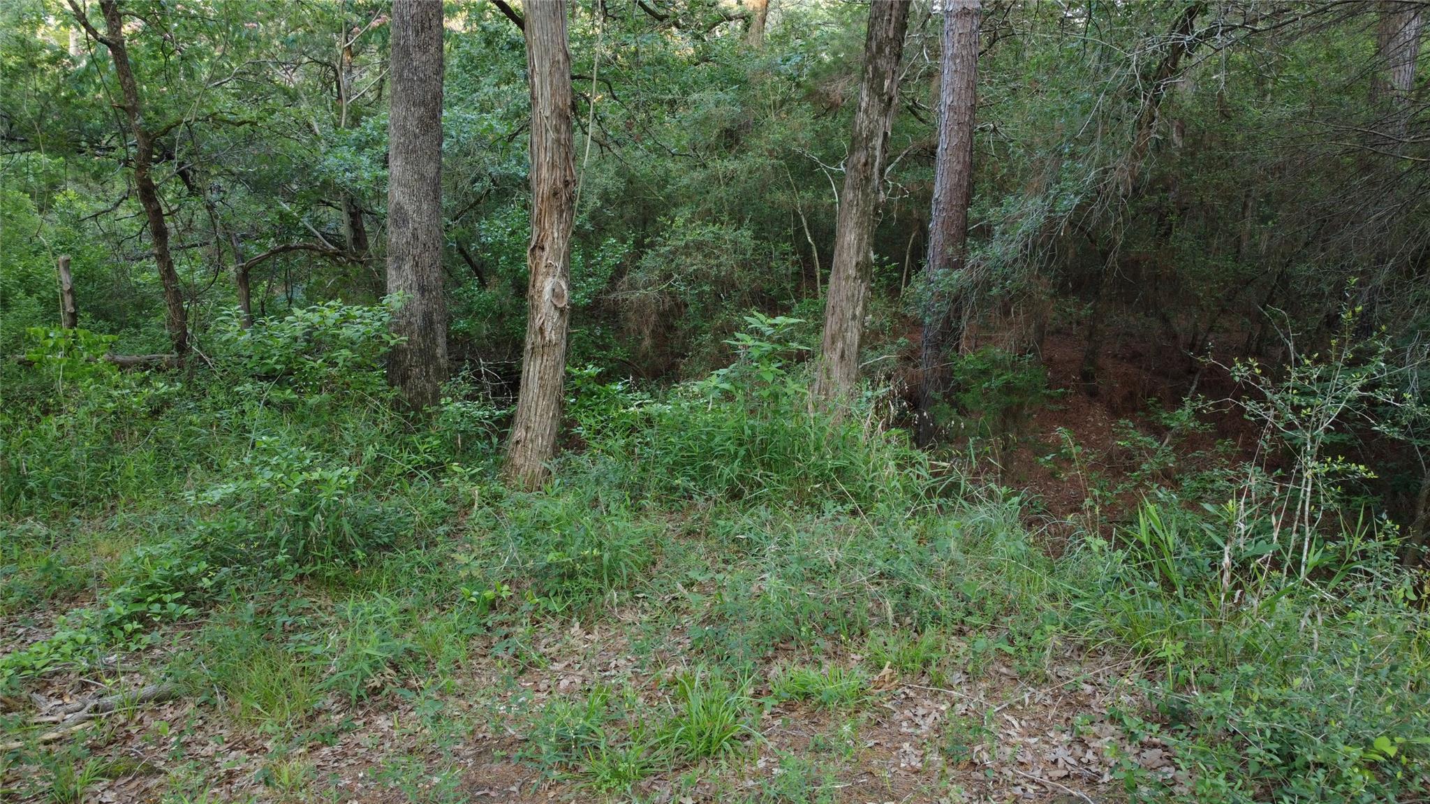 0000 Green Valley DR