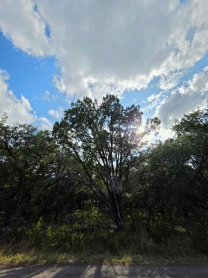 7623 SAGEBRUSH TRL, LEANDER, TX 78645 - Image f7ea1565a189918c7d29ec34fda8da8c/3930323070