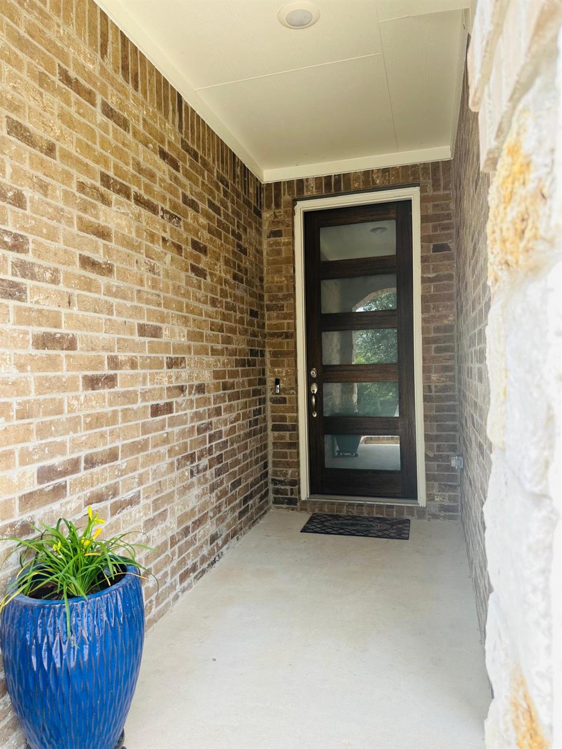 862 Leadtree LOOP