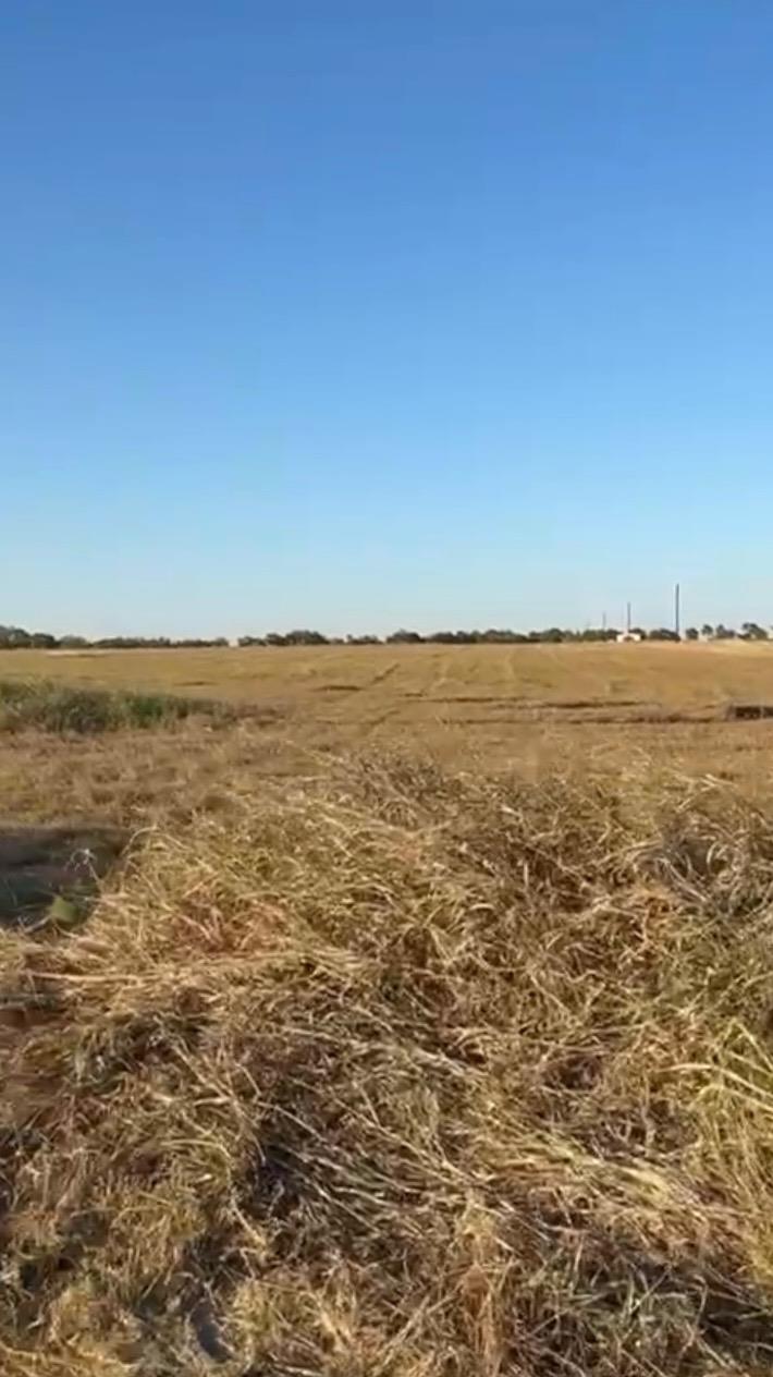 00 County Road 133 CTR Lot 6