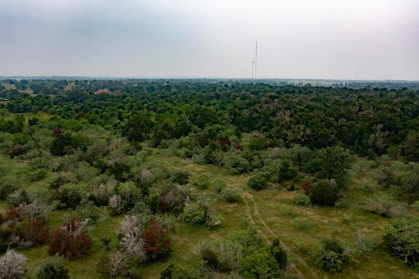 3 PRIVATE ROAD 4601, WAELDER, TX 78959 - Image f8491faa3c9fa3ac9157c8142f1edaa7/712899981