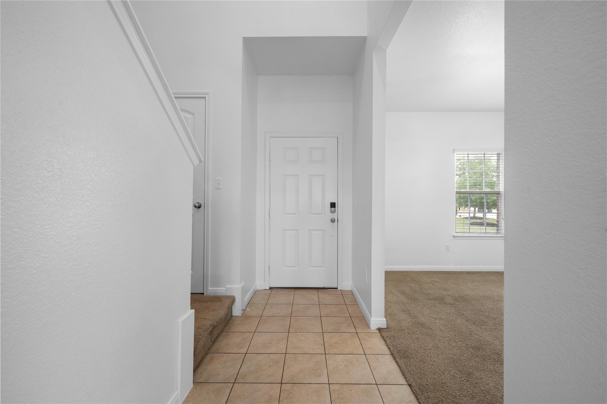 125 Dusky Thrush DR