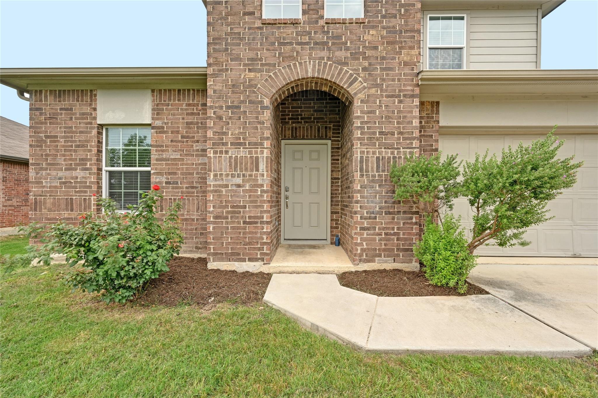 125 Dusky Thrush DR