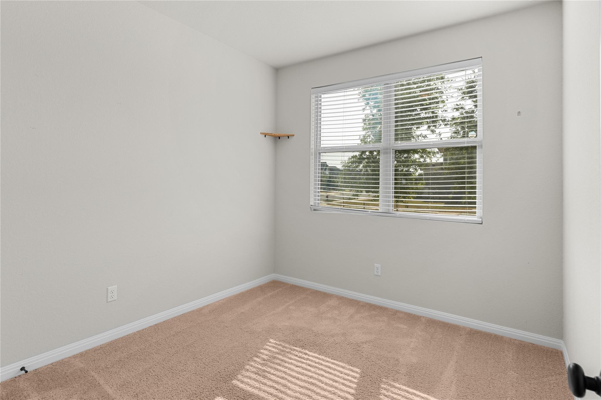 807 Gray Fox LOOP