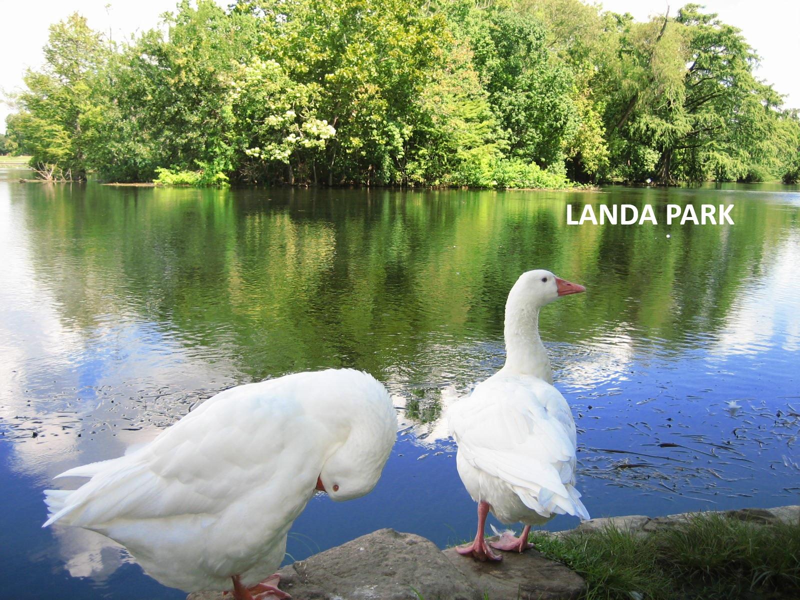 New Braunfels, Texas 78130, United States, 2 Bedrooms Bedrooms, ,2 BathroomsBathrooms,Residential,Active,92380