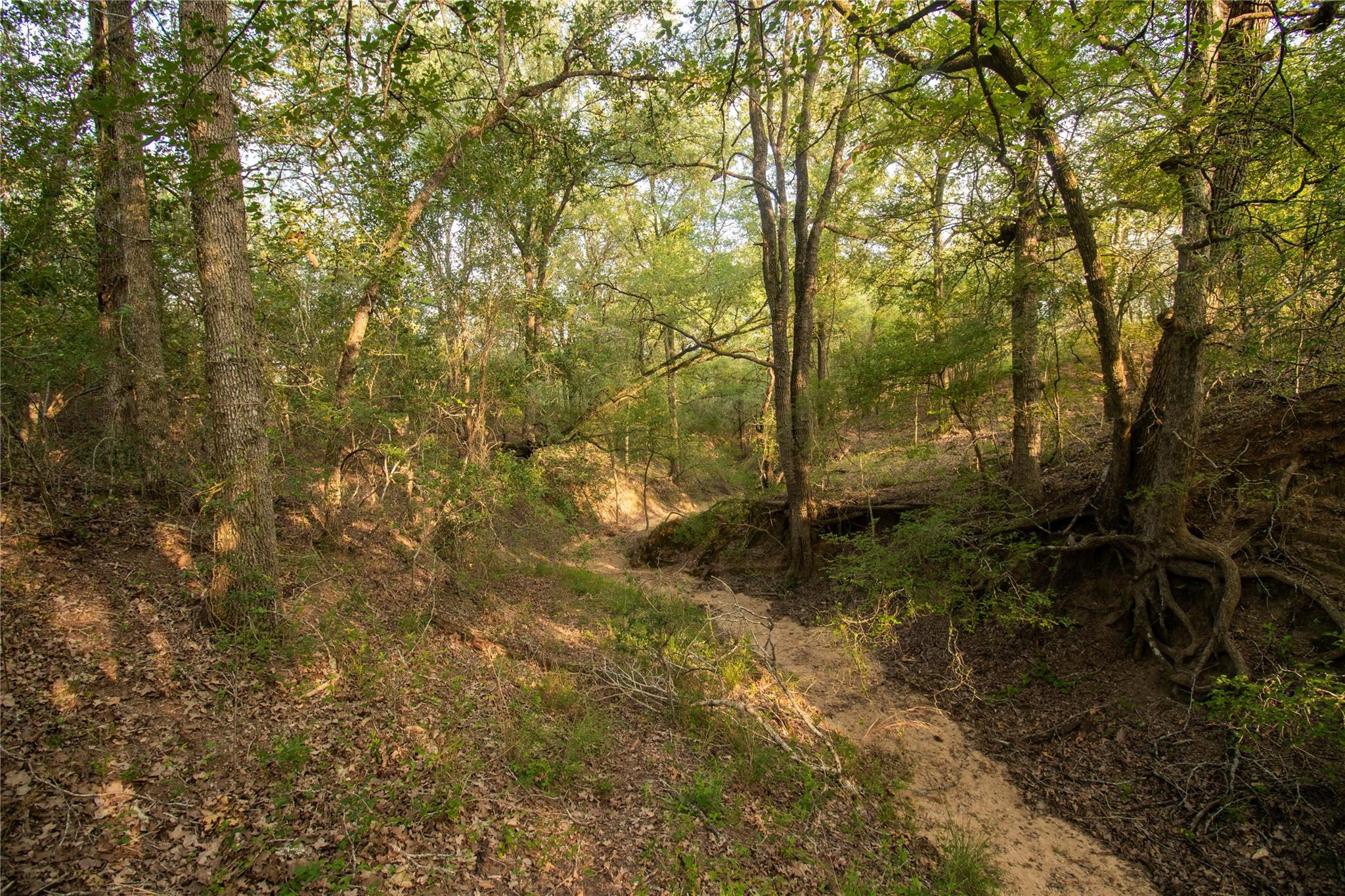 760 Dowdy RD