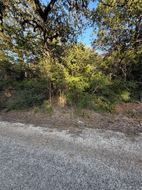 Photo of Lot 194 Kaelepulu DR, Bastrop, TX 78602 (MLS # 2373019)