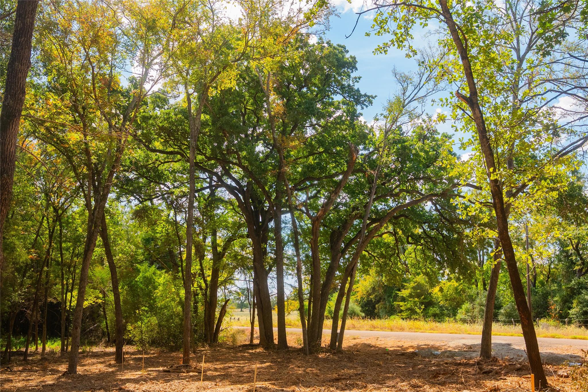 12608 Red Hill RD
