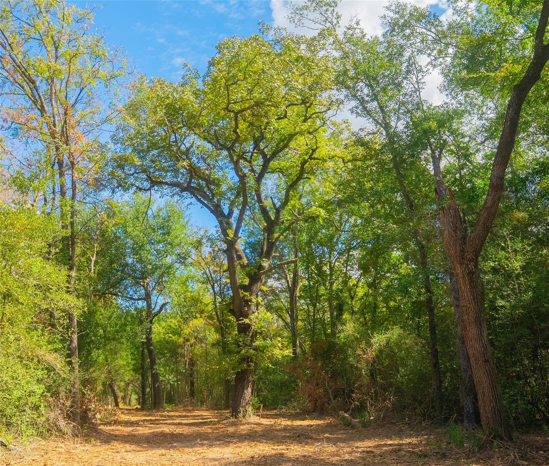 12608 Red Hill RD