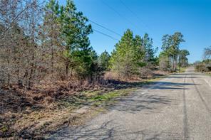 TBD Cardinal Loop LOOP