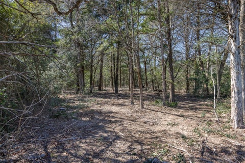 Photo of 4.81 AC Pauline LN, Caldwell, TX 77836 (MLS # 3007432)