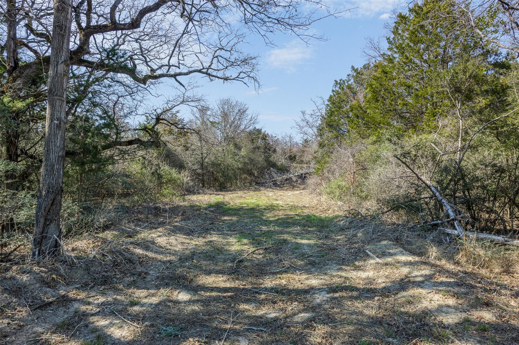 4.81 AC Pauline LN