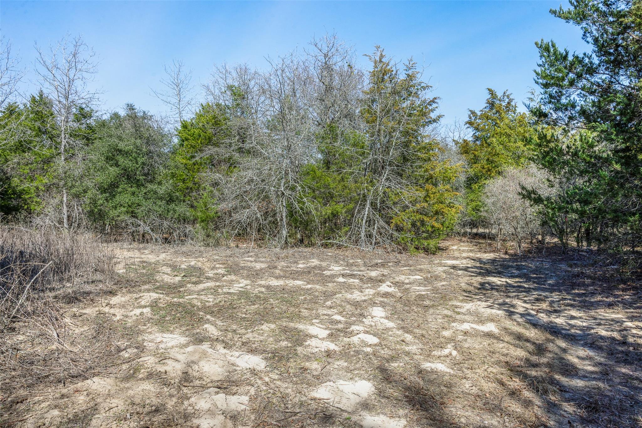 4.81 AC Pauline LN