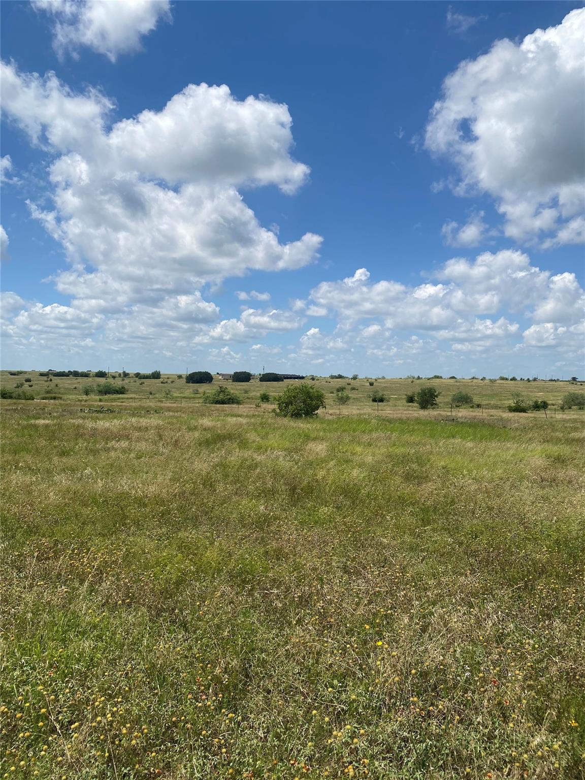 265 County Road 3535 RD