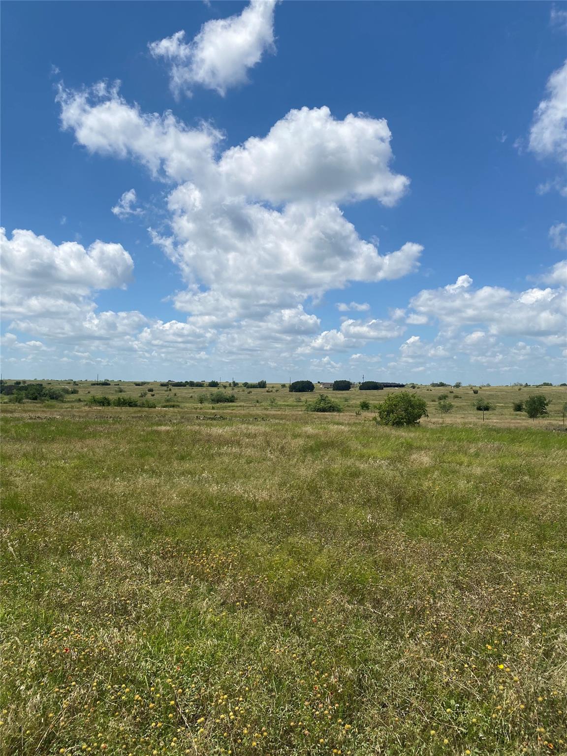 265 County Road 3535 RD