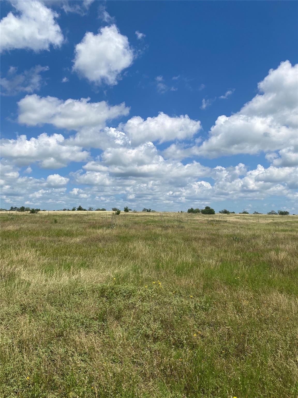 265 County Road 3535 RD
