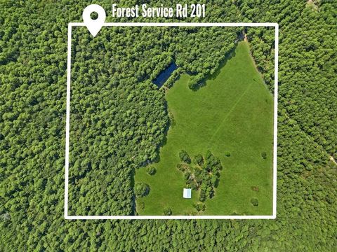 Photo of 00 Forest Service Road 201, Coldspring, TX 77328 (MLS # 9756009)