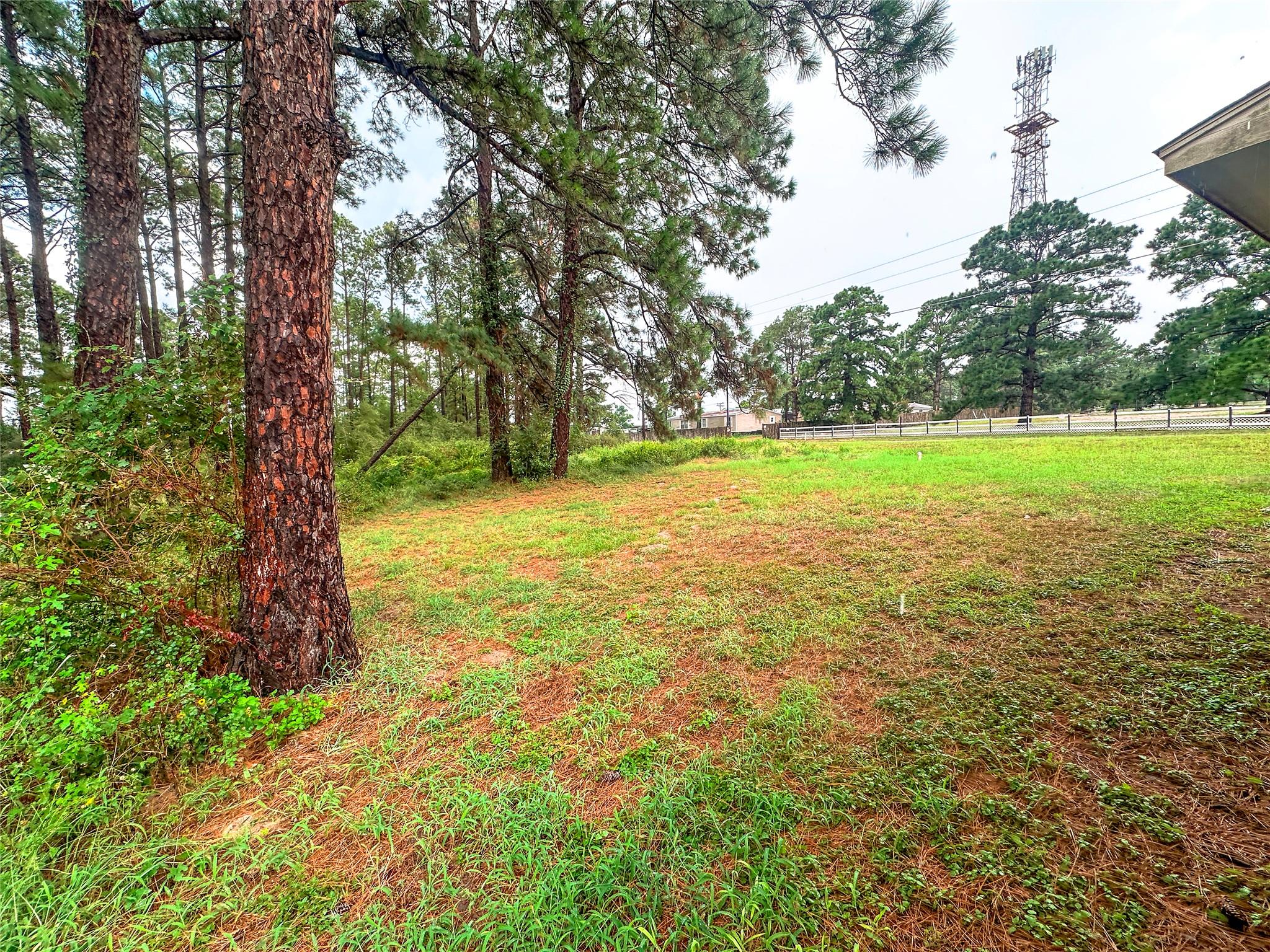 258 Pine View LOOP