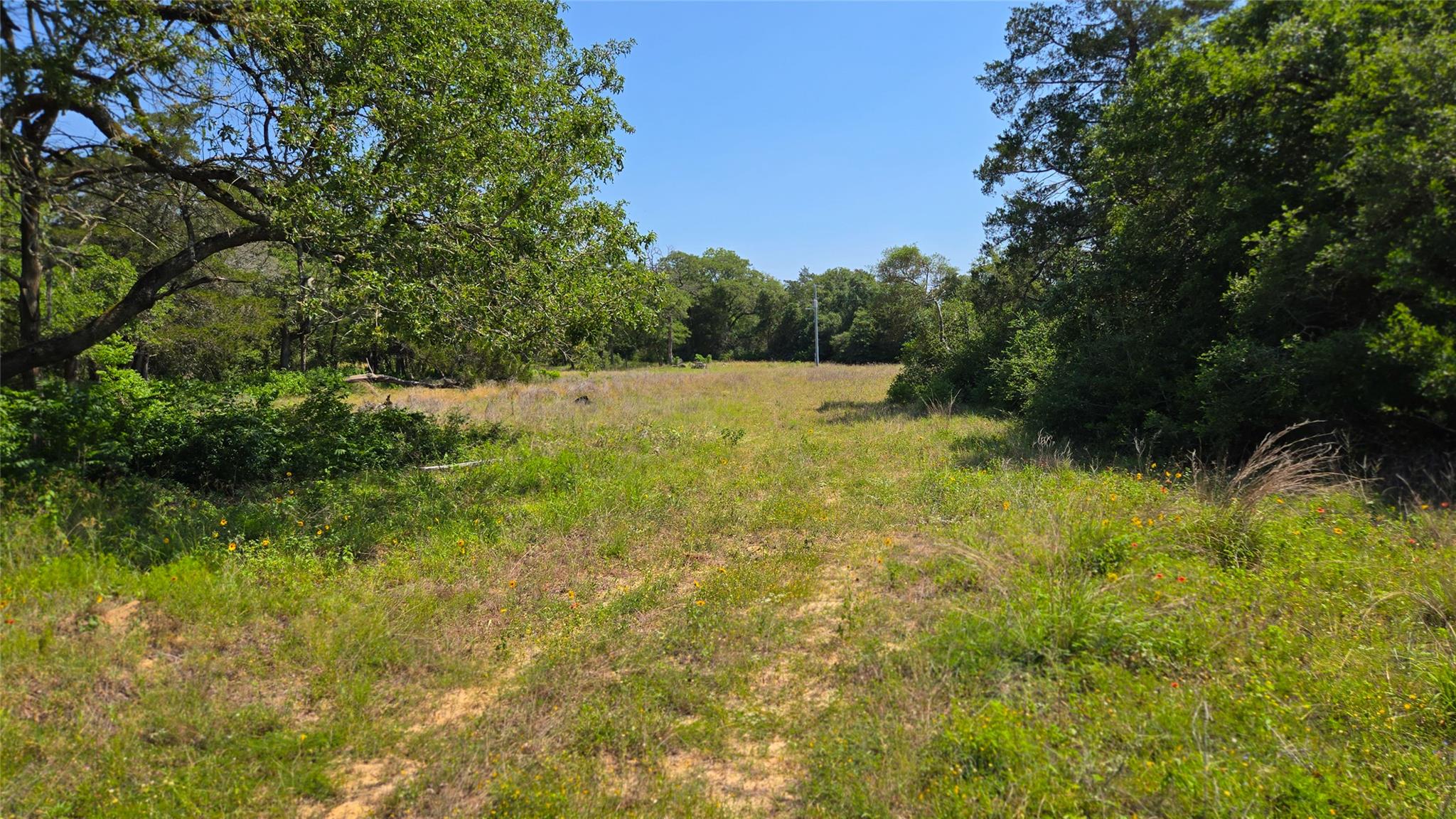 277 Meuth Cemetery RD