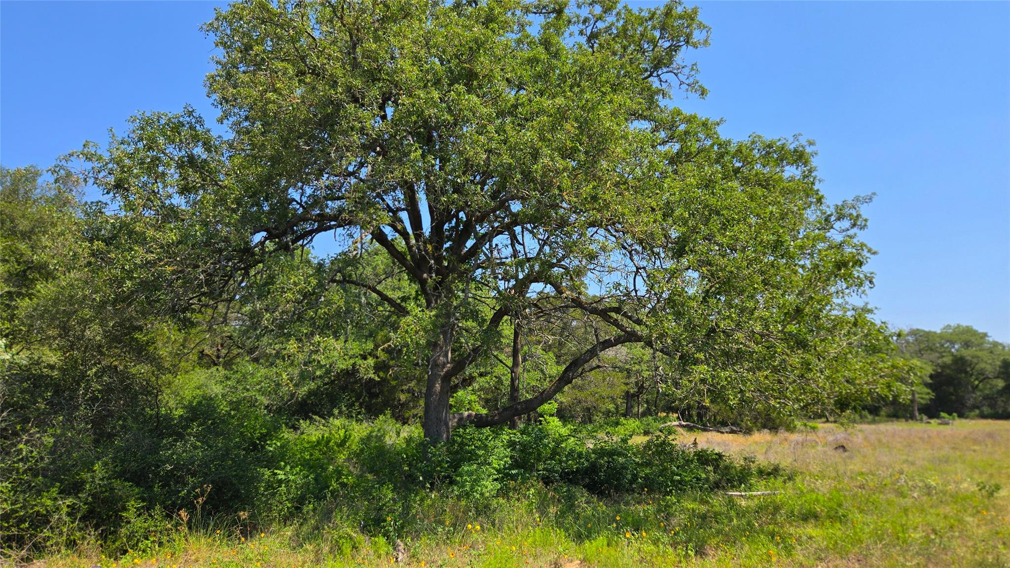 277 Meuth Cemetery RD