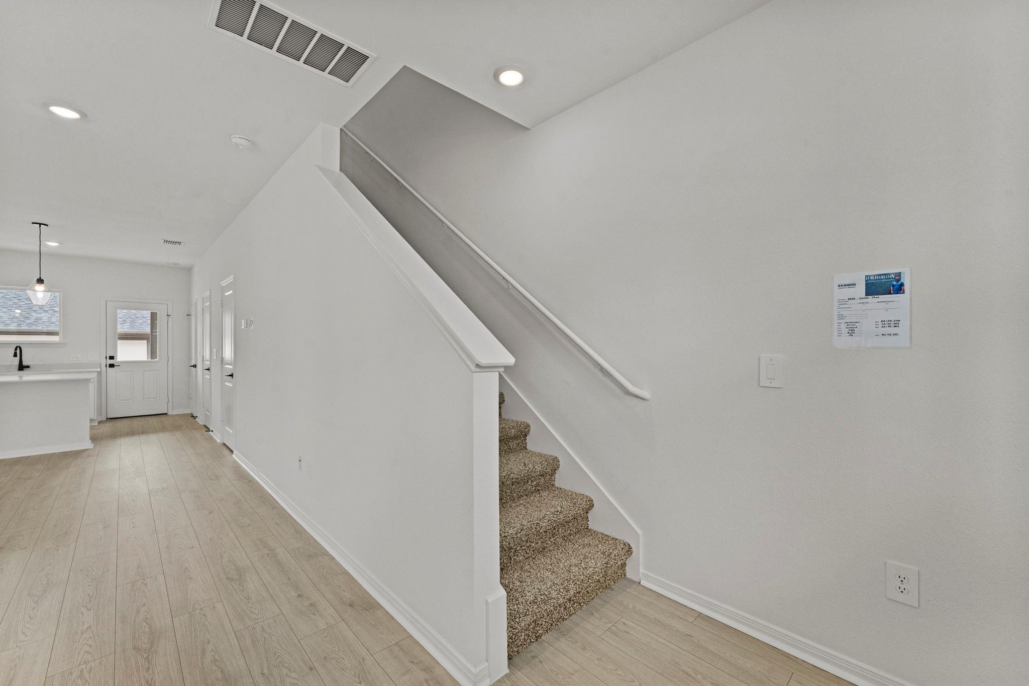 2535 Violet Theo LN