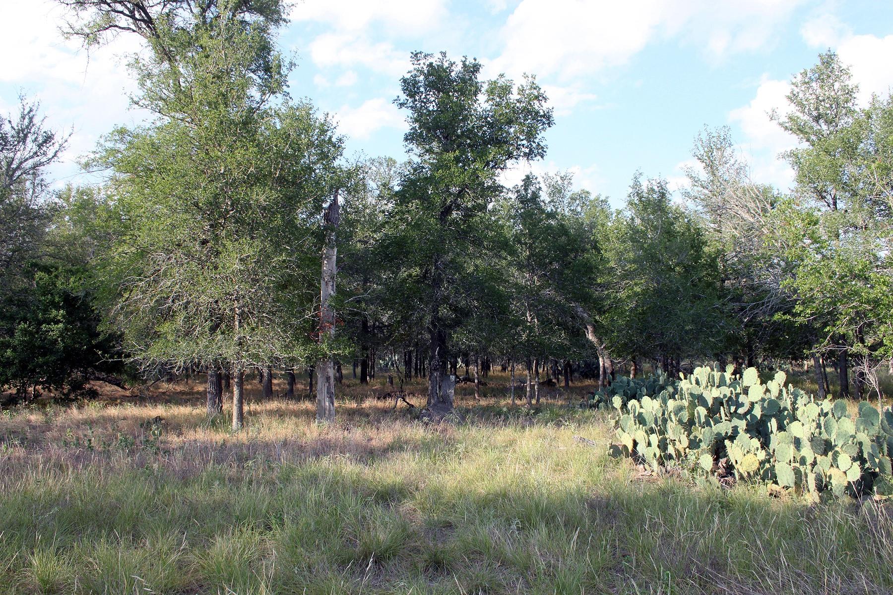 00 TBD FM 3158 Highway
