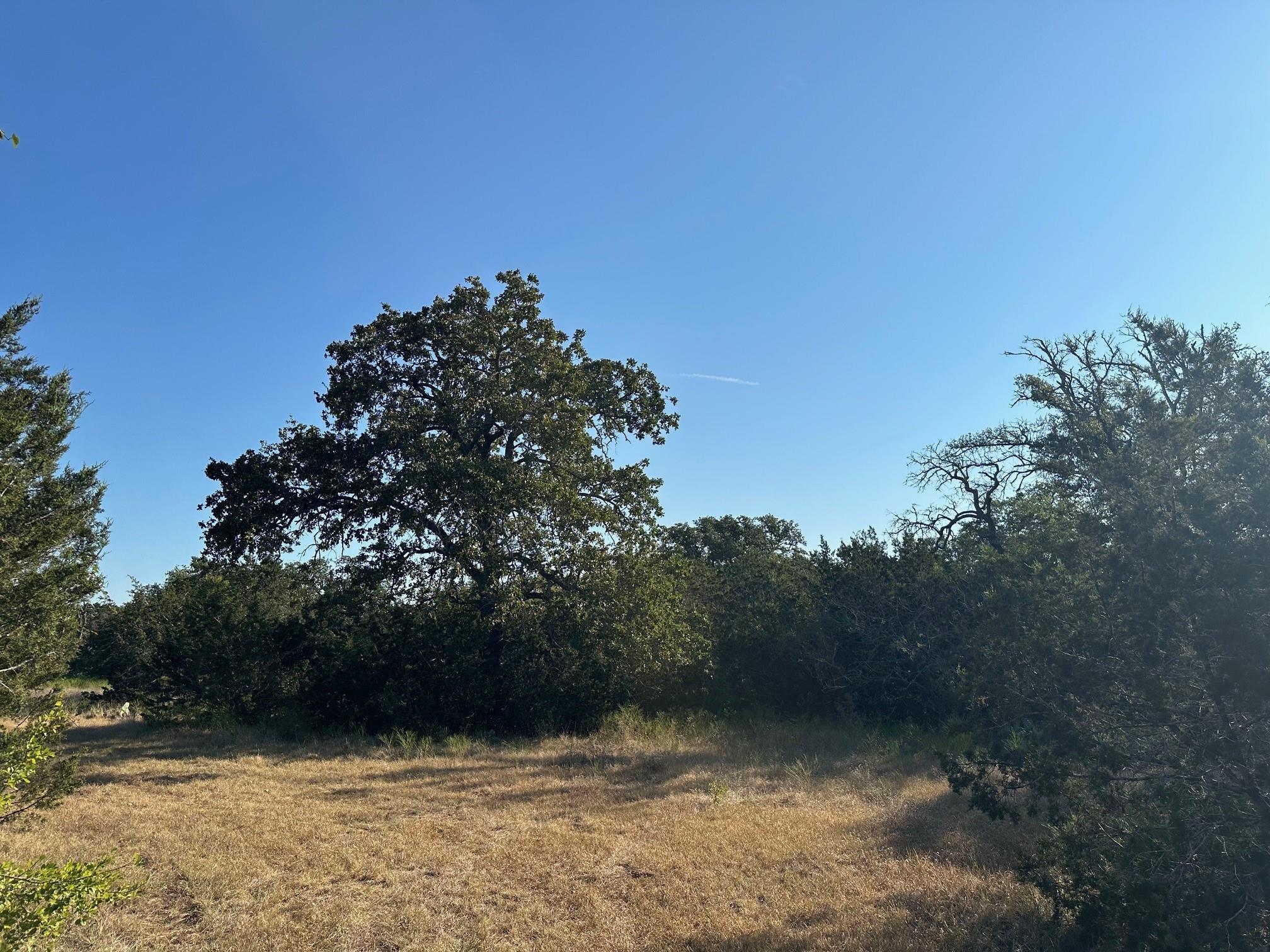 49 County Road 200