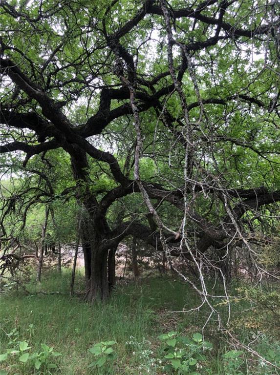 76 E Valley Springs RD