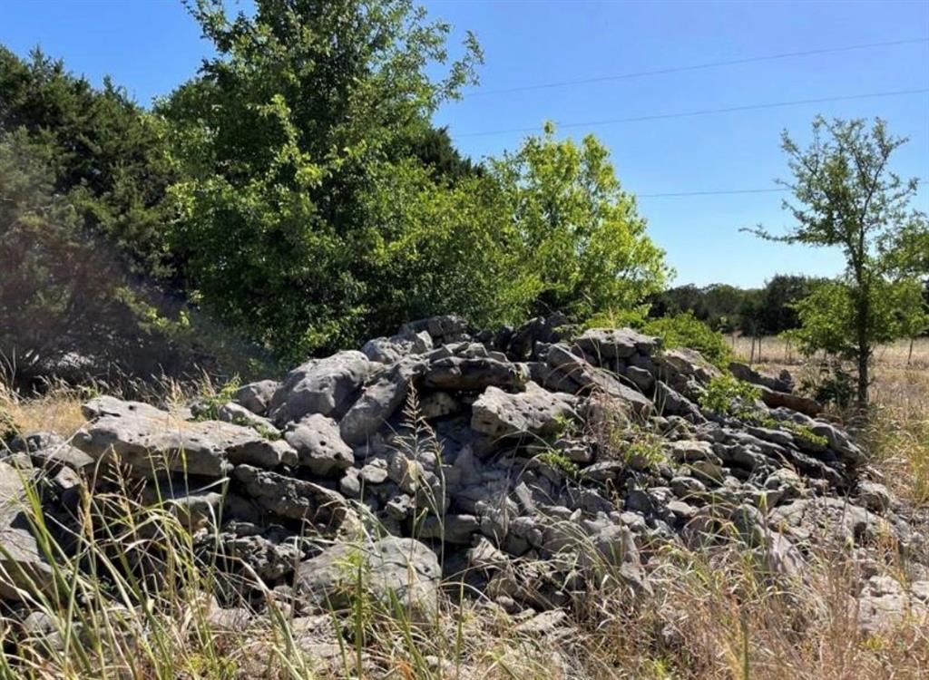 250 Rolling Oaks DR Lot 1