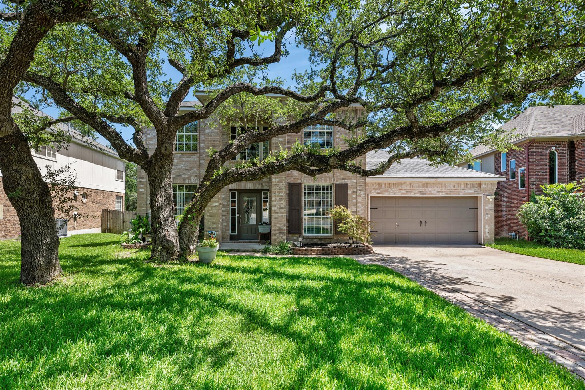 4011 Honey Bear LOOP
